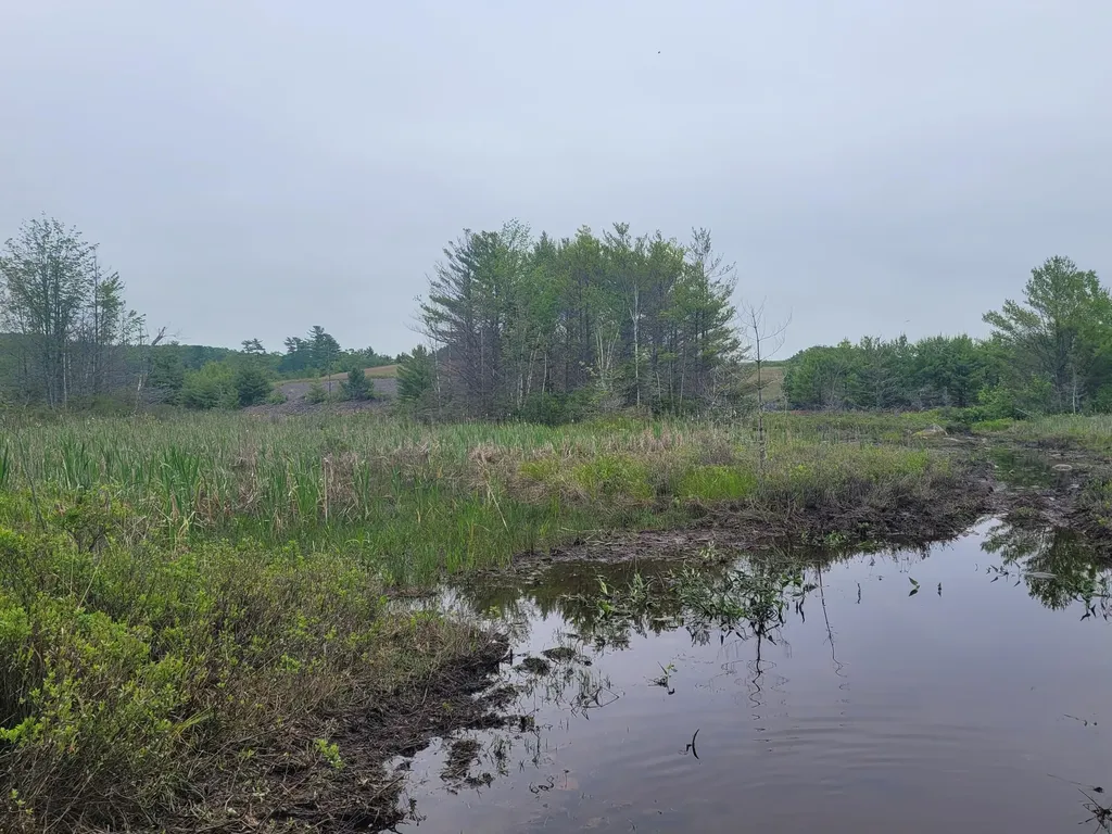 Tbd Grindleville Road Blue Hill ME 04614