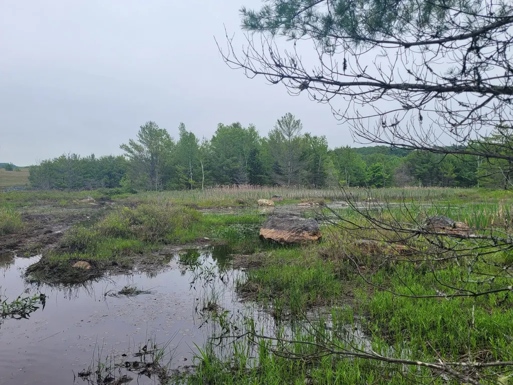 Tbd Grindleville Road Blue Hill ME 04614