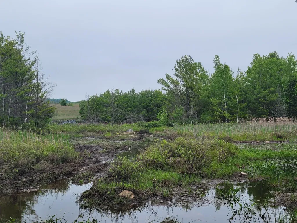 Tbd Grindleville Road Blue Hill ME 04614