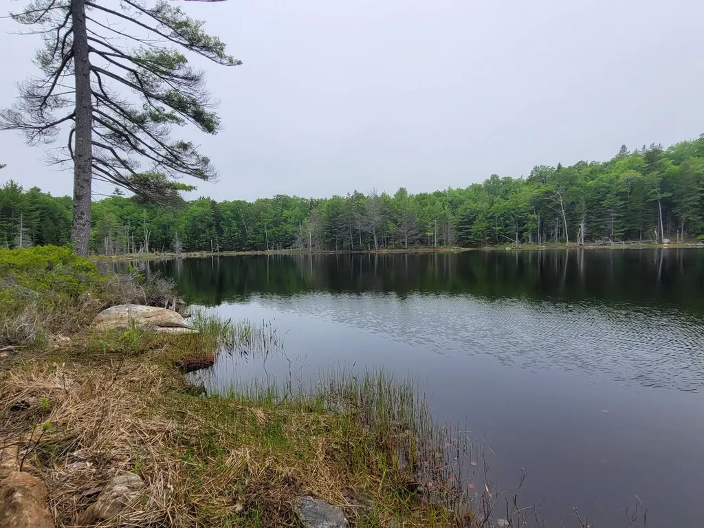 Tbd Grindleville Road Blue Hill ME 04614