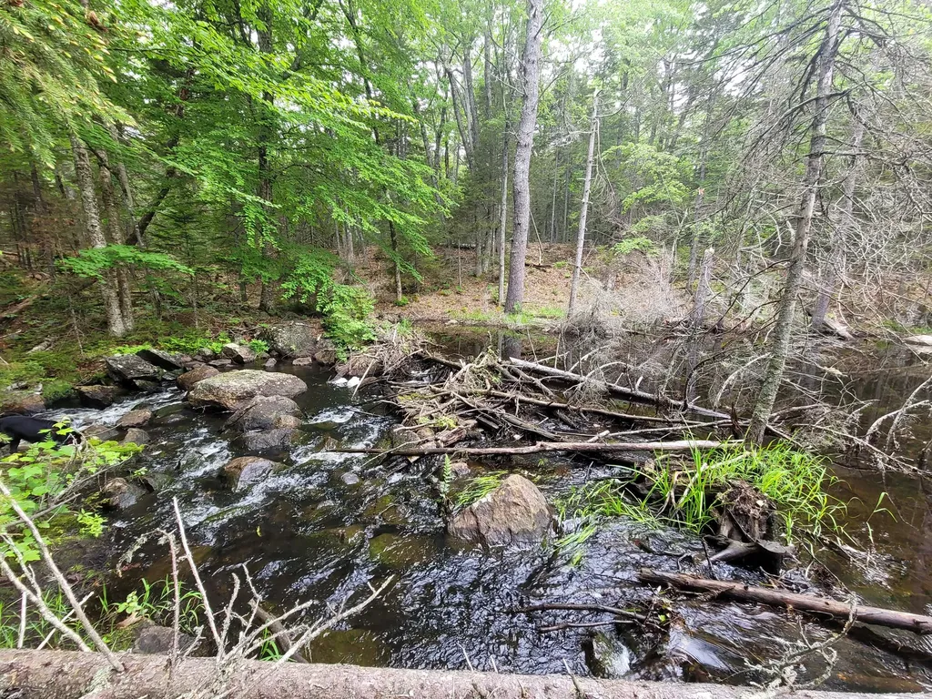 Tbd Grindleville Road Blue Hill ME 04614
