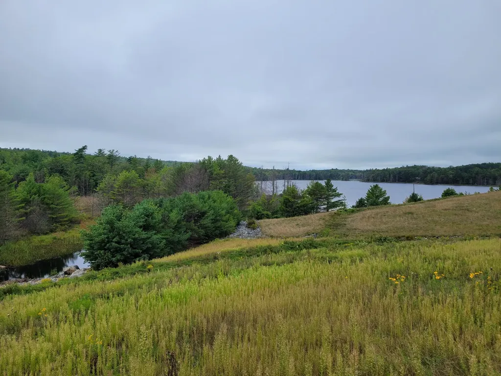 Tbd Grindleville Road Blue Hill ME 04614