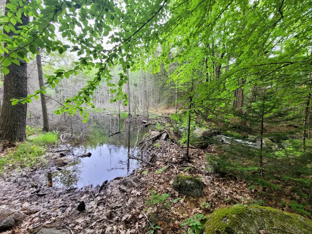 Tbd Grindleville Road Blue Hill ME 04614