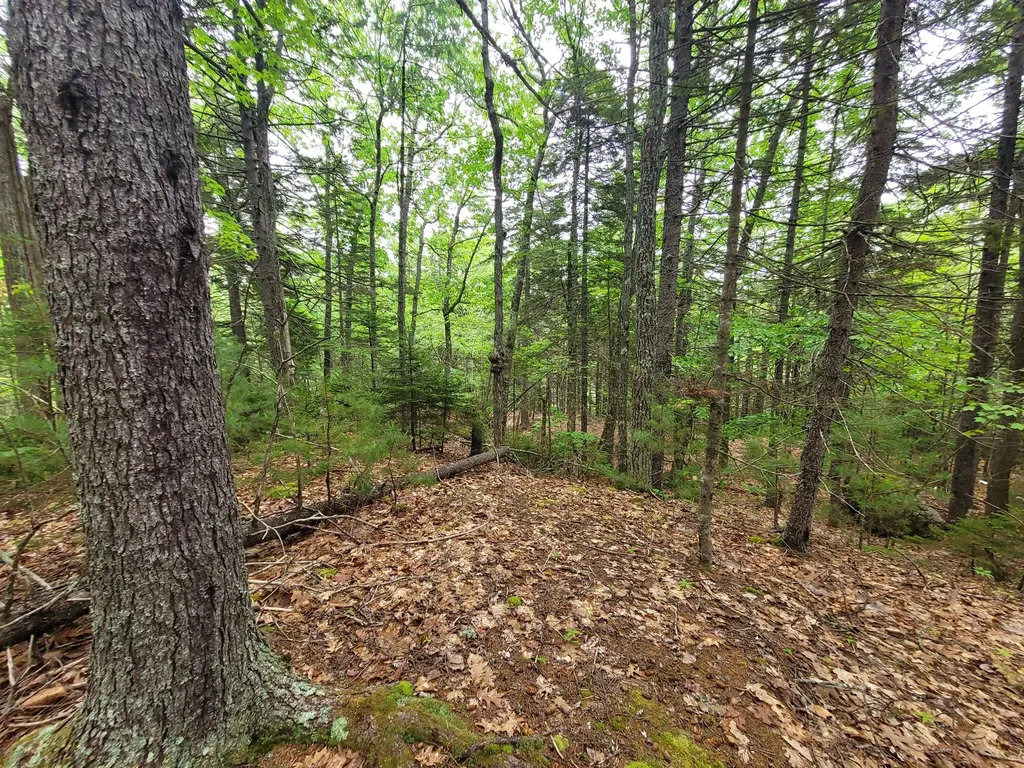 Tbd Grindleville Road Blue Hill ME 04614