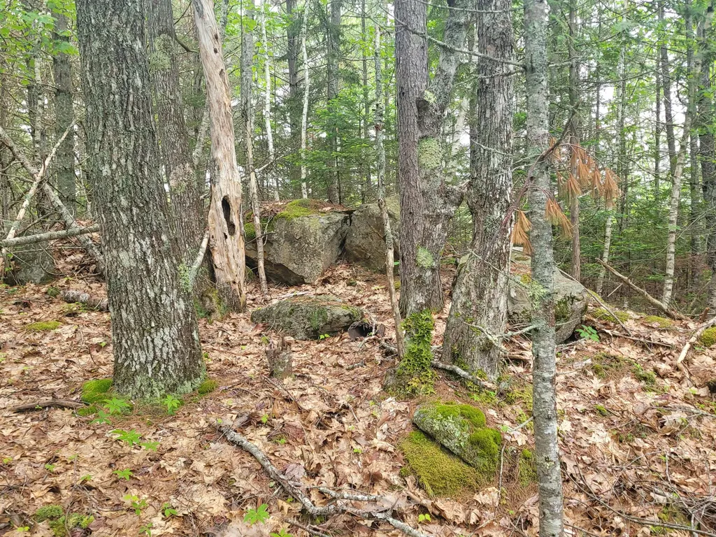 Tbd Grindleville Road Blue Hill ME 04614