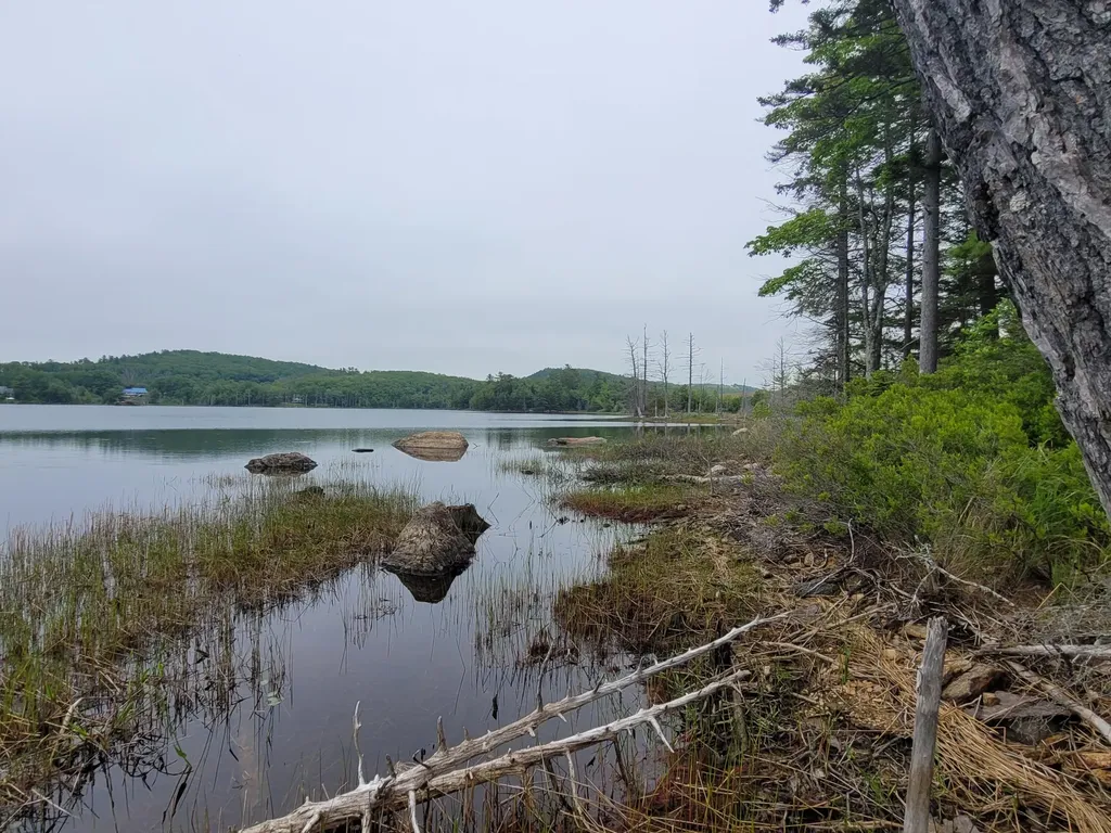 Tbd Grindleville Road Blue Hill ME 04614