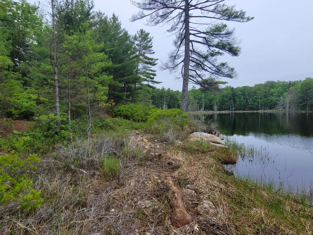 Tbd Grindleville Road Blue Hill ME 04614
