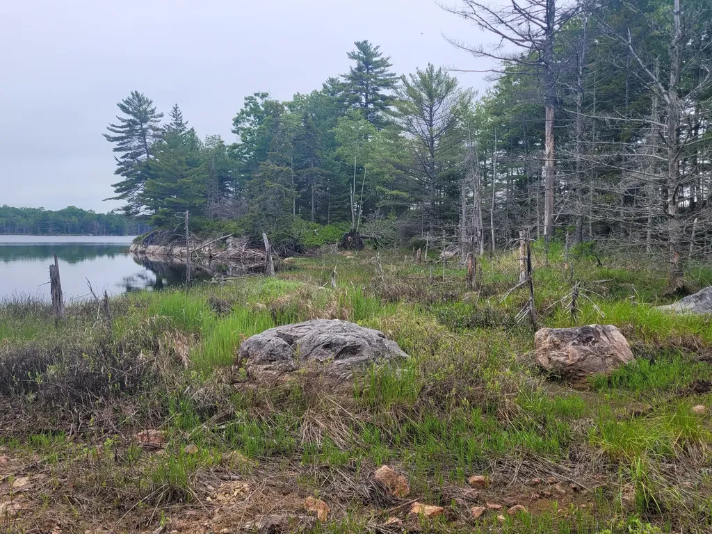 Tbd Grindleville Road Blue Hill ME 04614