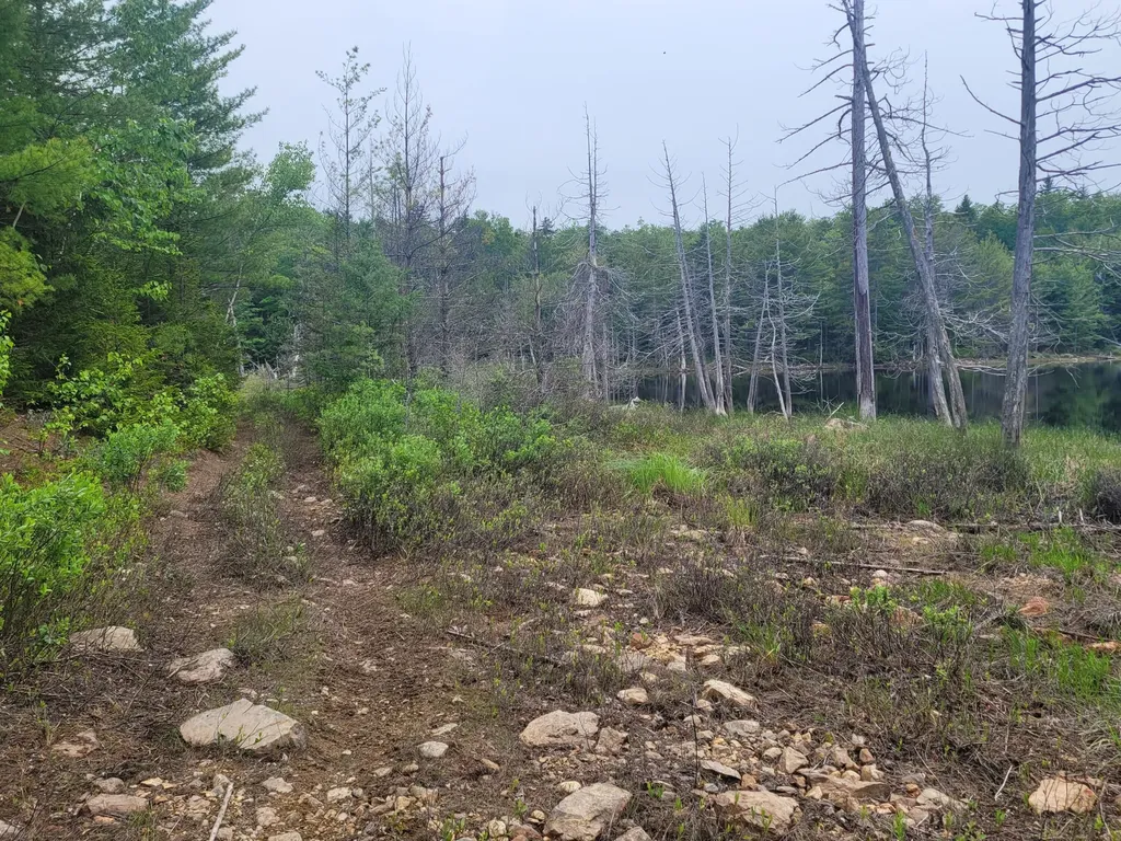 Tbd Grindleville Road Blue Hill ME 04614