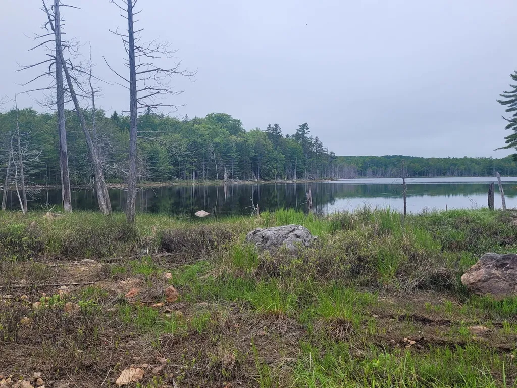 Tbd Grindleville Road Blue Hill ME 04614