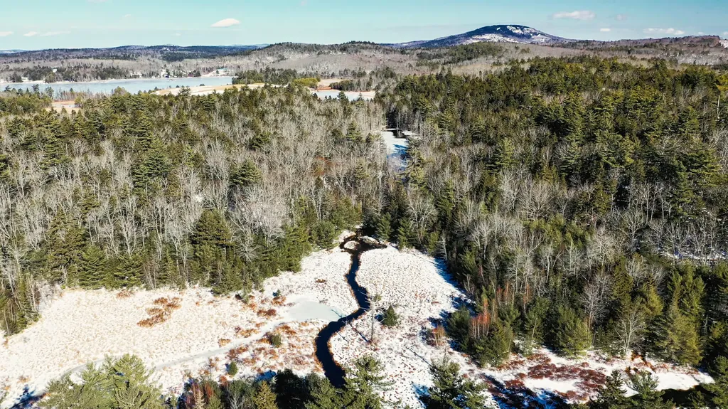 Tbd Grindleville Road Blue Hill ME 04614