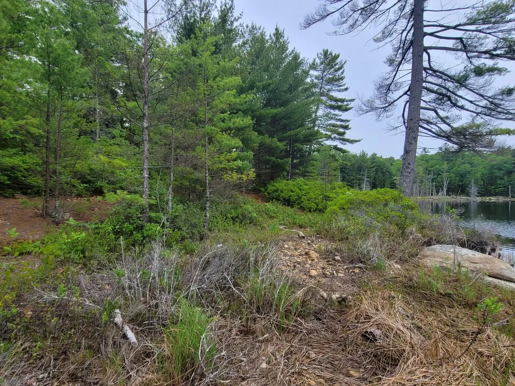 Tbd Grindleville Road Blue Hill ME 04614