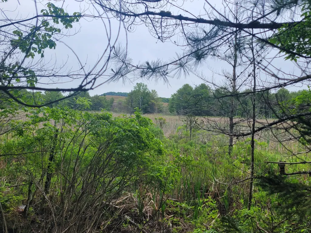 Tbd Grindleville Road Blue Hill ME 04614