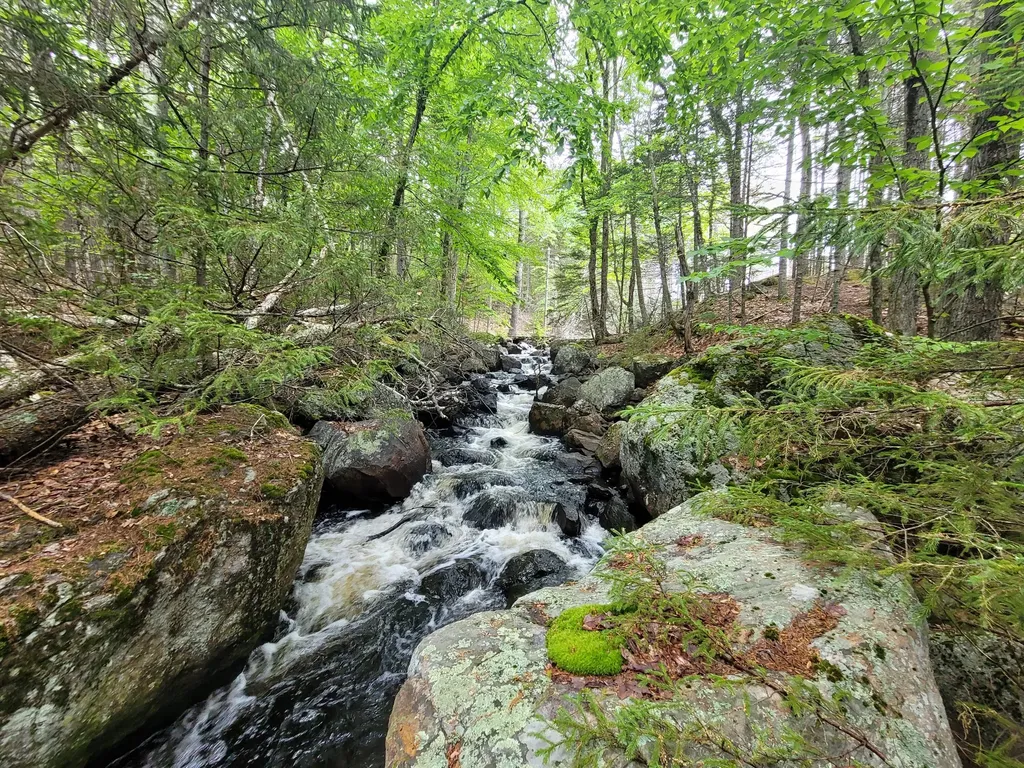Tbd Grindleville Road Blue Hill ME 04614