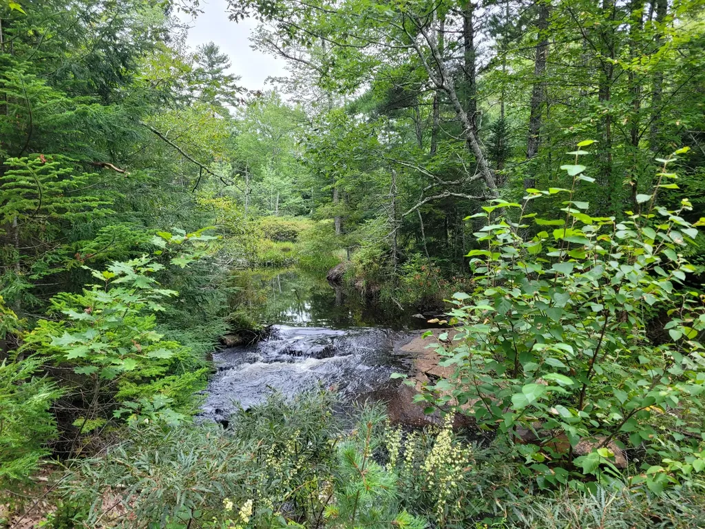 Tbd Grindleville Road Blue Hill ME 04614