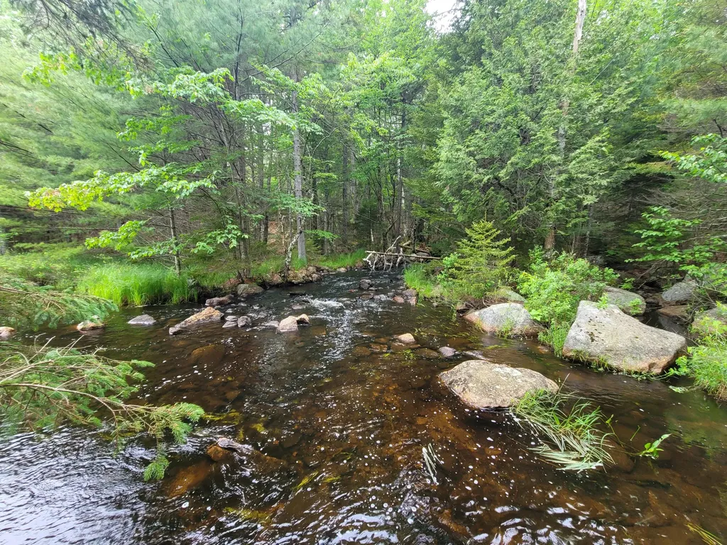 Tbd Grindleville Road Blue Hill ME 04614