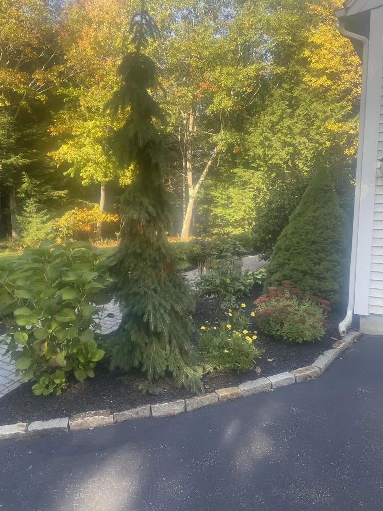 316 Holmes Road Scarborough ME 04074