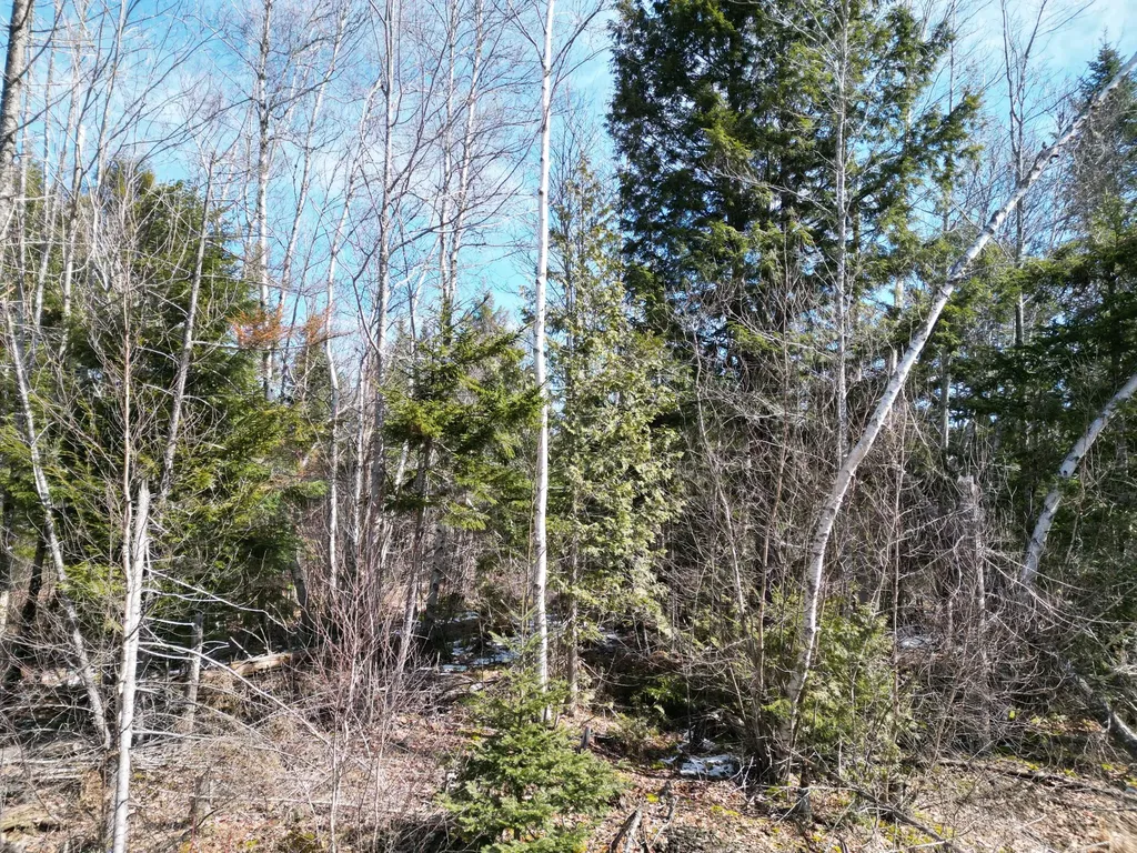 Lot 2-3 Main Road Carroll Plt ME 04487