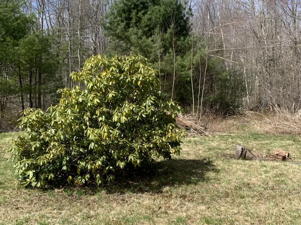52 Old Cape Road Kennebunkport ME 04046