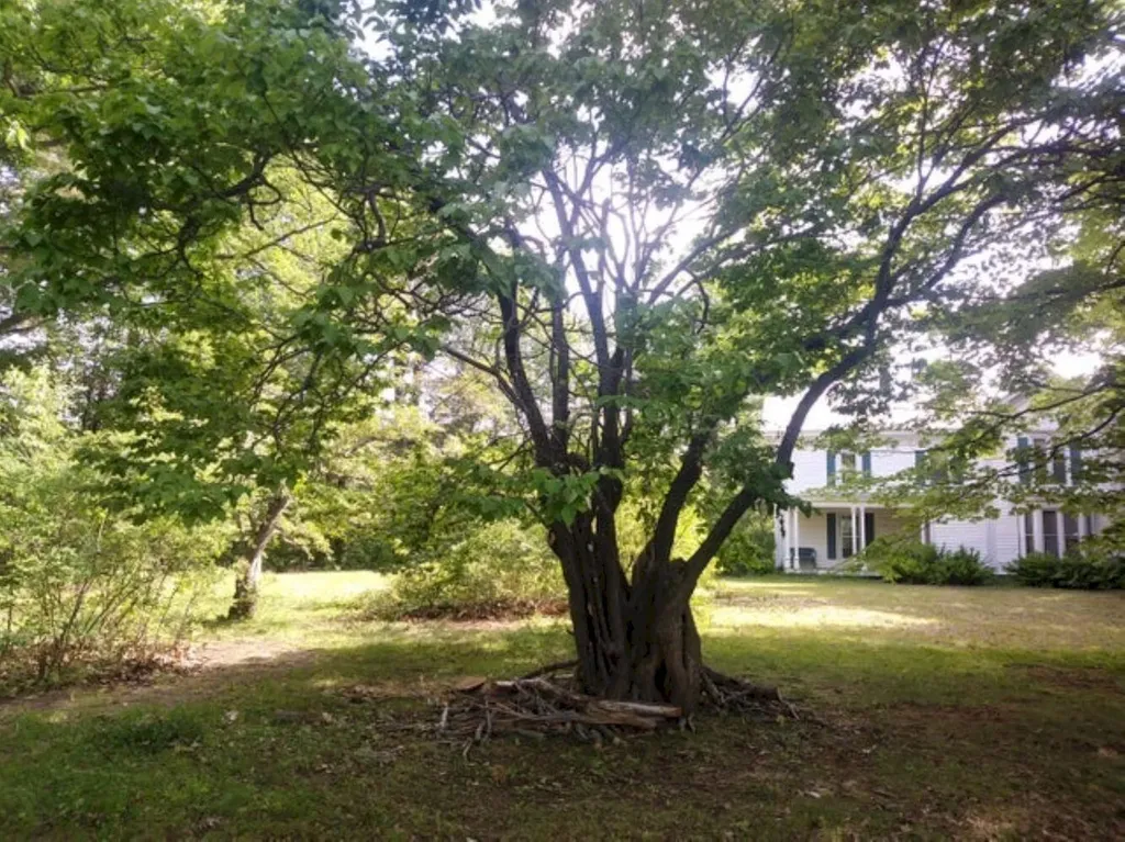 10 Weston Street Skowhegan ME 04976
