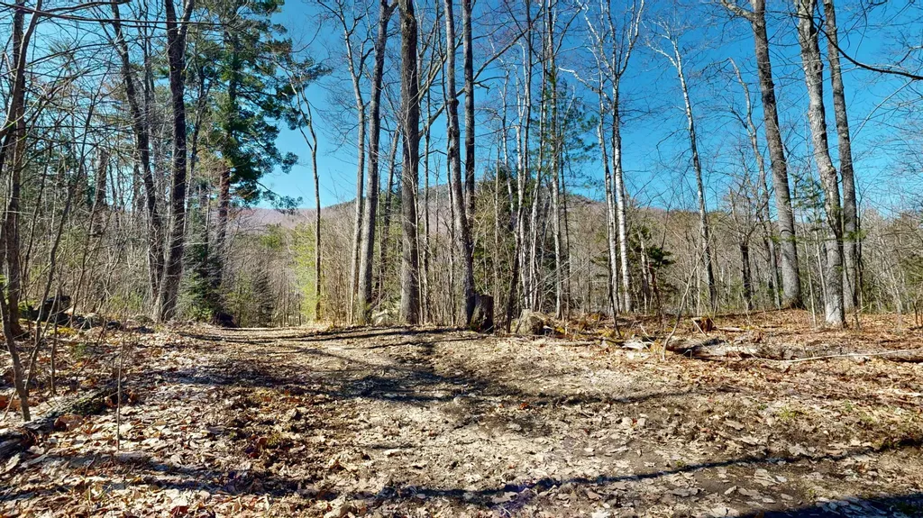 8 Dingle Hill Road Byron ME 04275