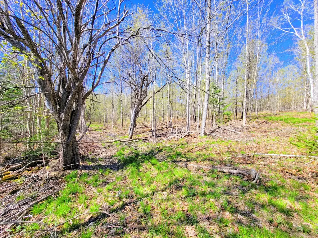 181 Brown Road Farmington ME 04938