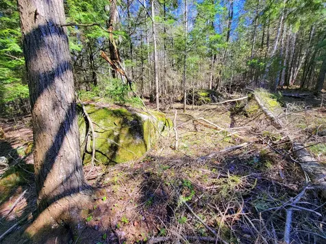 181 Brown Road Farmington ME 04938