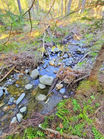 181 Brown Road Farmington ME 04938