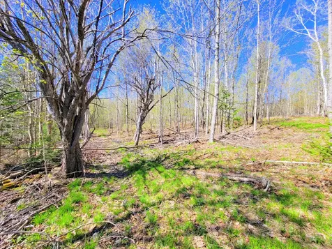 181 Brown Road Farmington ME 04938