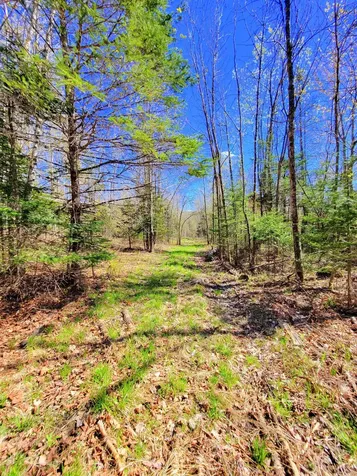 181 Brown Road Farmington ME 04938
