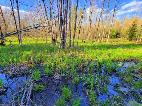 181 Brown Road Farmington ME 04938