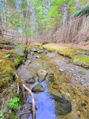 181 Brown Road Farmington ME 04938