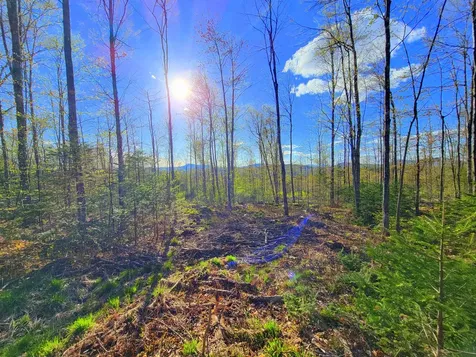181 Brown Road Farmington ME 04938