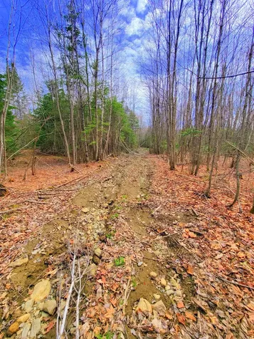 181 Brown Road Farmington ME 04938