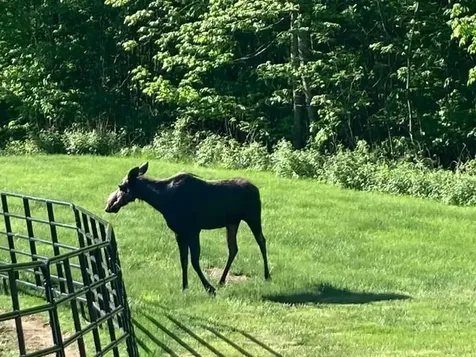 181 Brown Road Farmington ME 04938