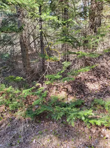 181 Brown Road Farmington ME 04938