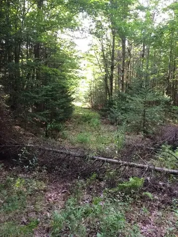 181 Brown Road Farmington ME 04938