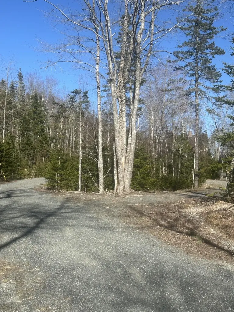 14 Falcon Lane Lamoine ME 04605