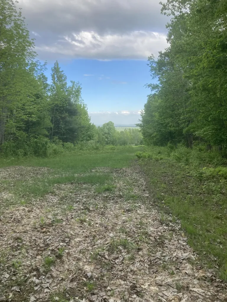 153 Holmes Road Dover-foxcroft ME 04426