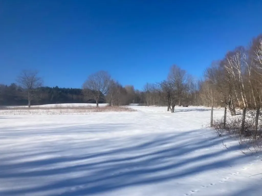 153 Holmes Road Dover-foxcroft ME 04426