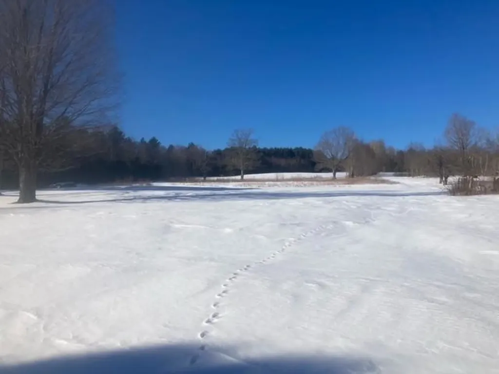 153 Holmes Road Dover-foxcroft ME 04426
