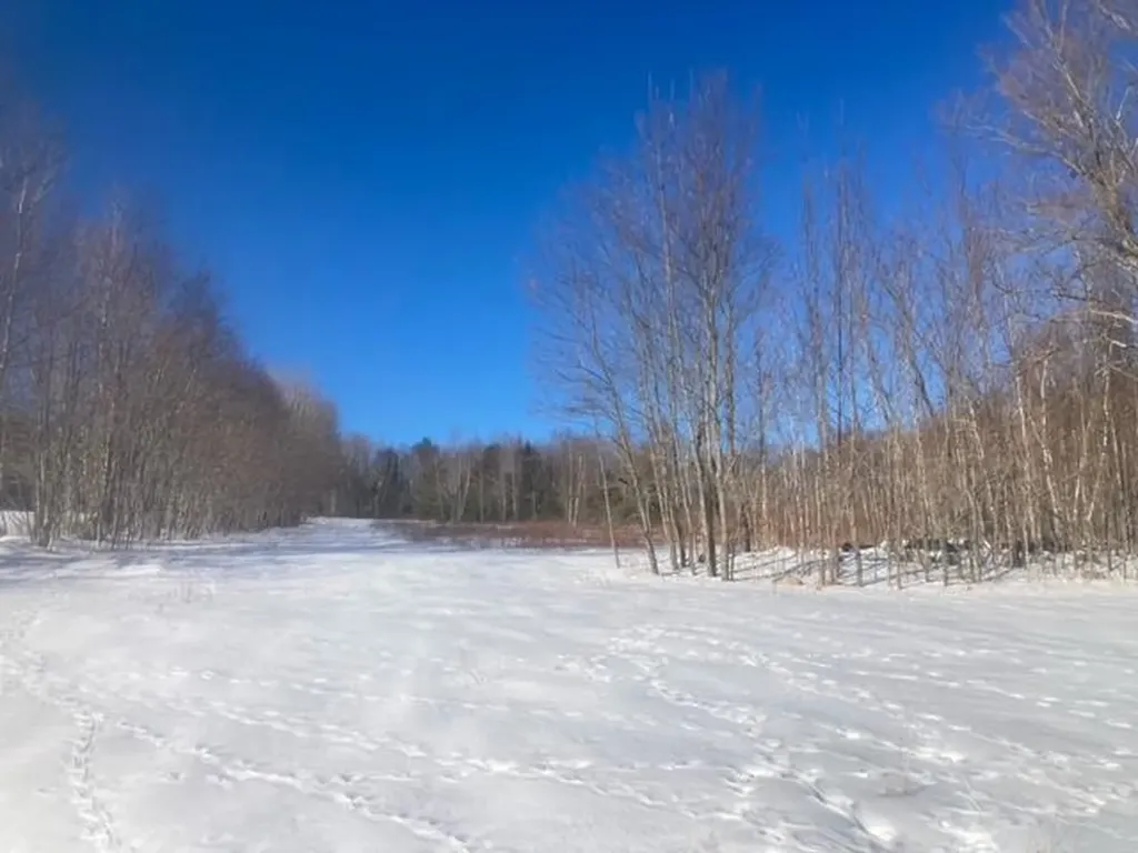 153 Holmes Road Dover-foxcroft ME 04426
