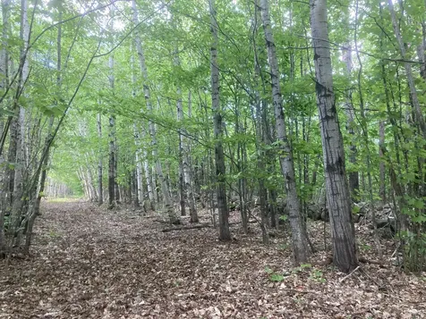 153 Holmes Road Dover-foxcroft ME 04426