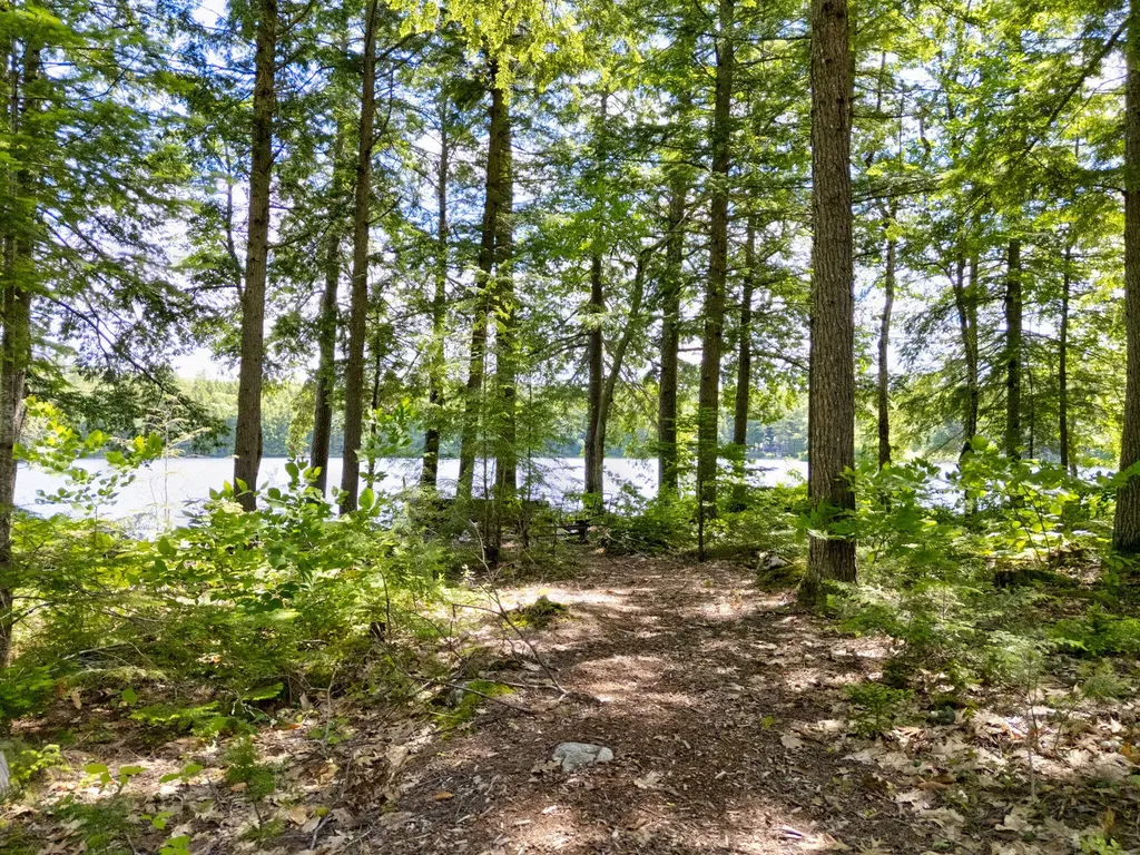 59 Farrington Pond Road Lovell ME 04051