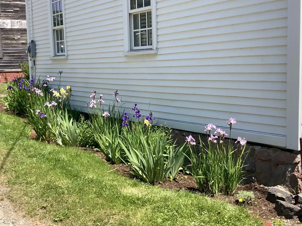3 Green Street Eastport ME 04631
