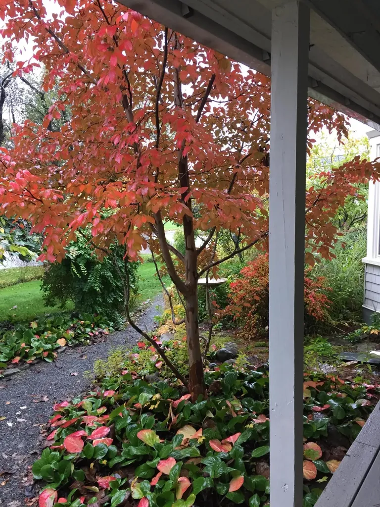 339 Somerset Avenue Pittsfield ME 04967