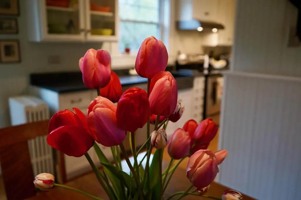339 Somerset Avenue Pittsfield ME 04967