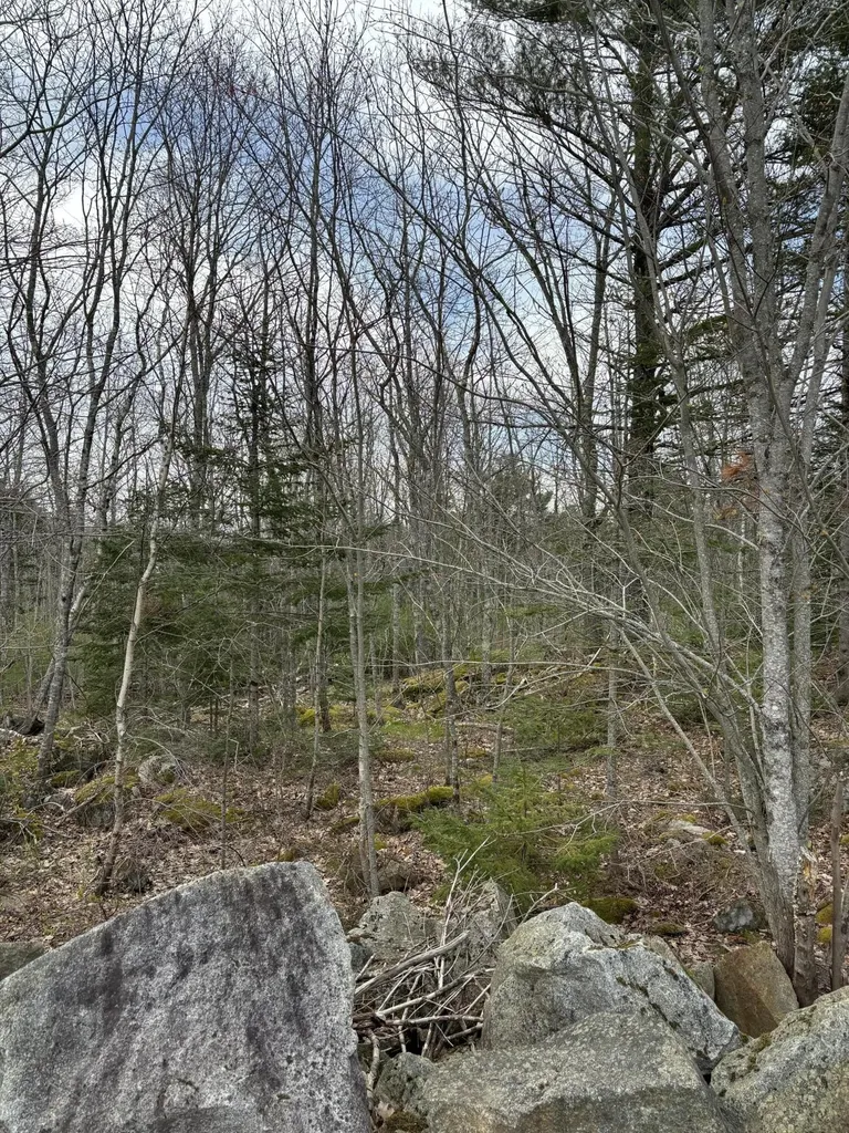 Lot 8 Aspen Drive South Thomaston ME 04858