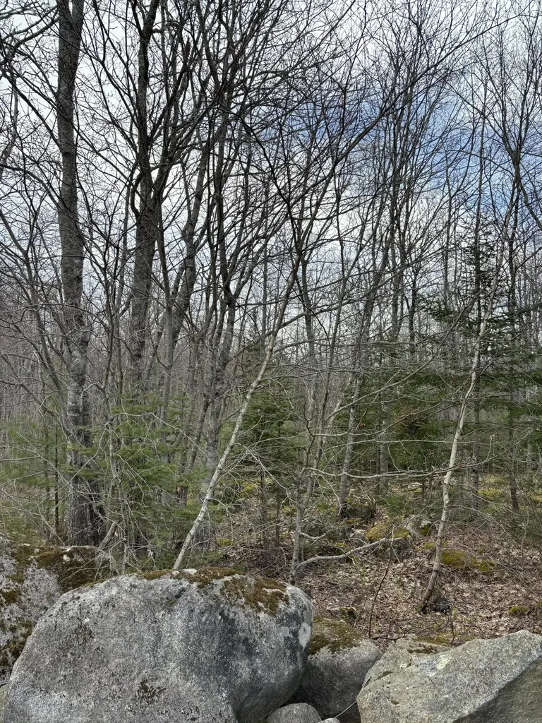 Lot 8 Aspen Drive South Thomaston ME 04858