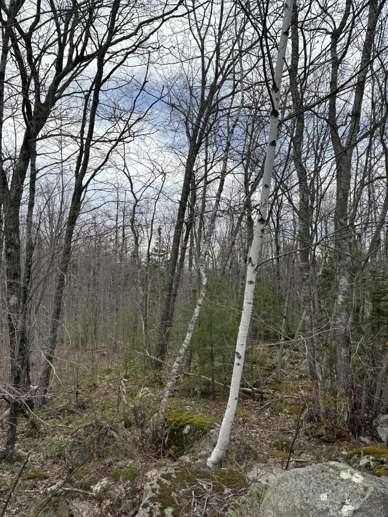 Lot 8 Aspen Drive South Thomaston ME 04858